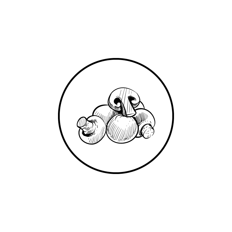 Champignon_Tekengebied 1