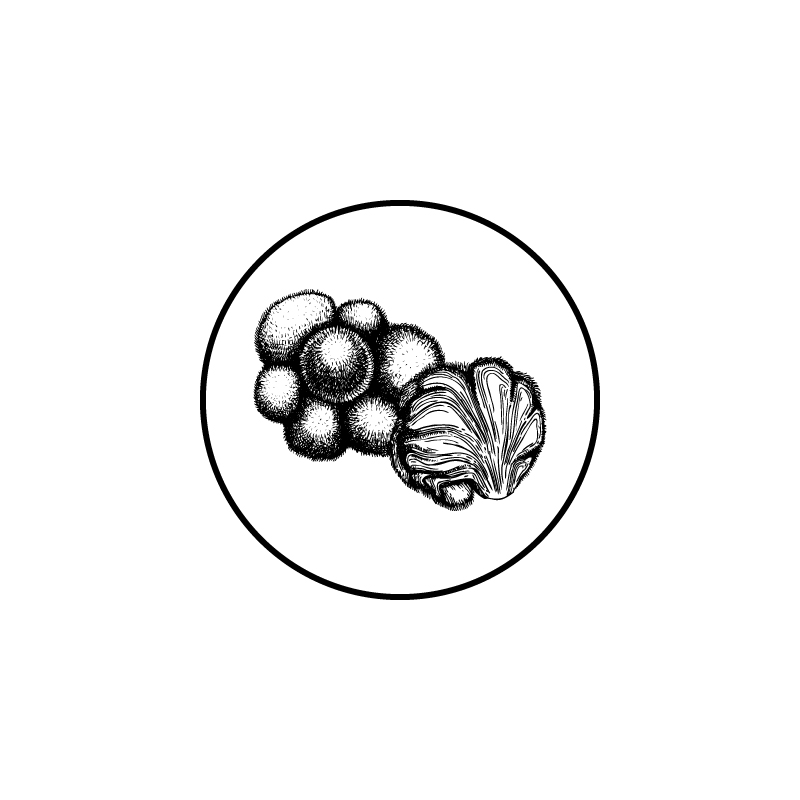 Pompom_Tekengebied 1