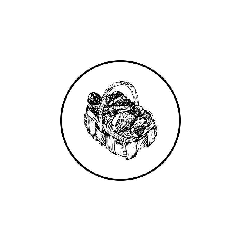 mix_Tekengebied 1