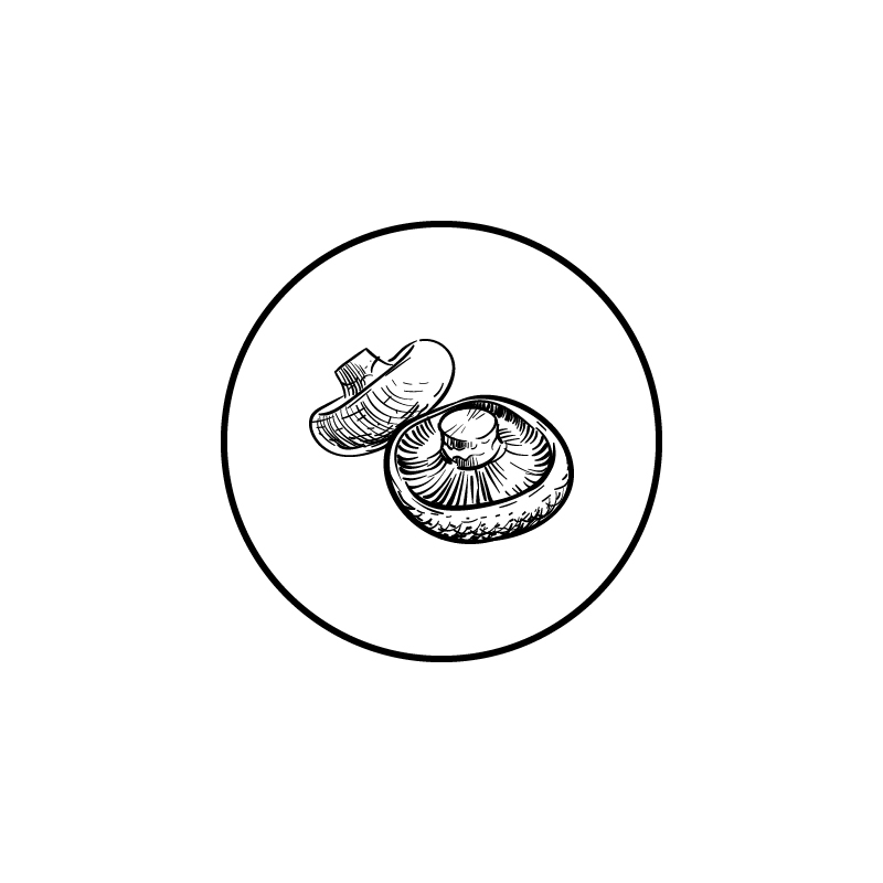 portobello_Tekengebied 1