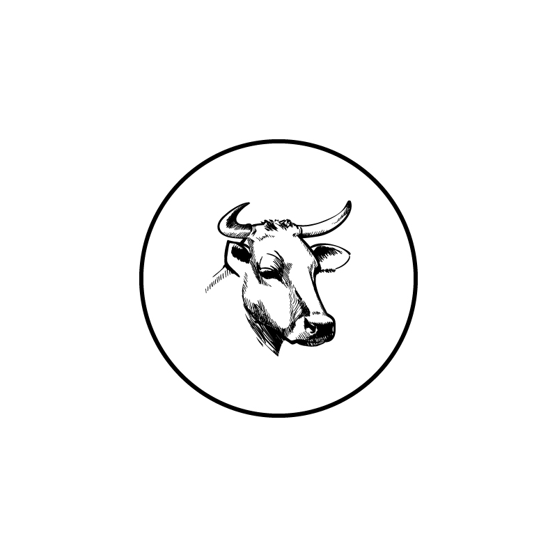 stier_Tekengebied 1