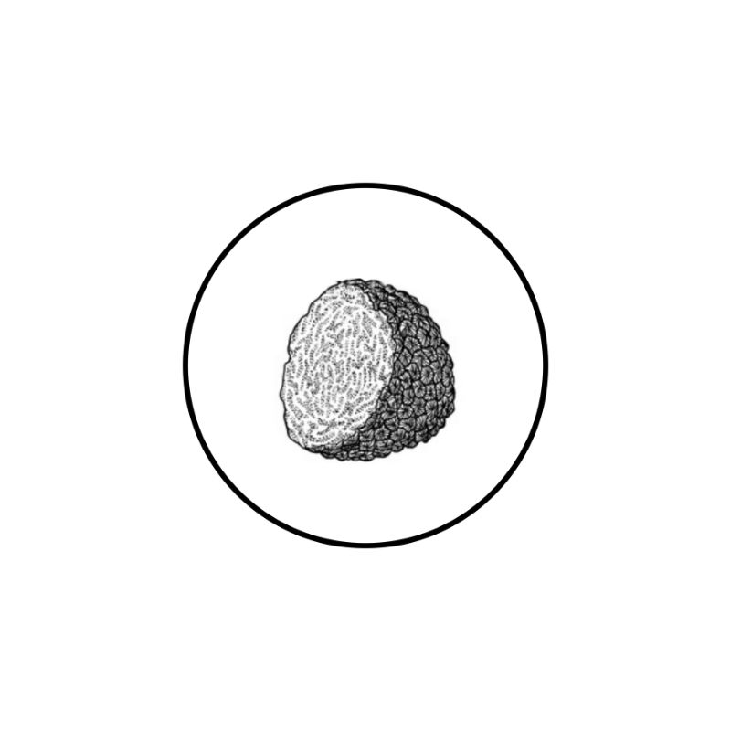 witte truffel sortering_Tekengebied 1