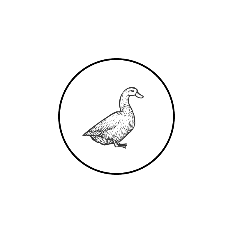 Graisse d’oie – Ganzenvet_Tekengebied 1