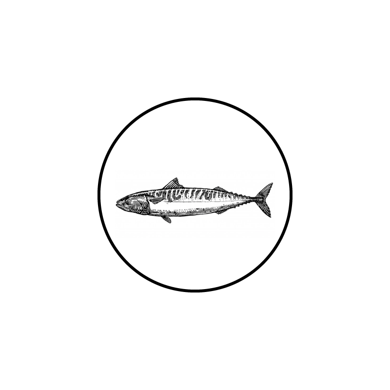 Sardines in Olijfolie_Tekengebied 1